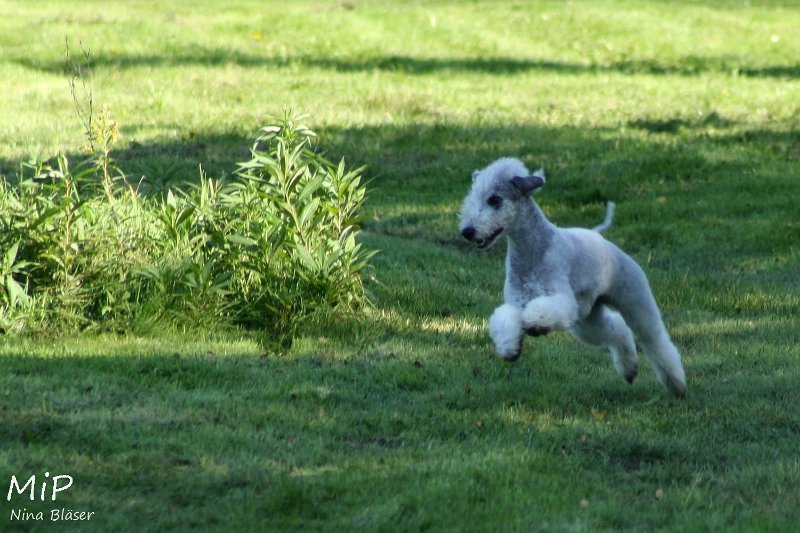 2010-10-03 Coursing-Training GE (26).jpg